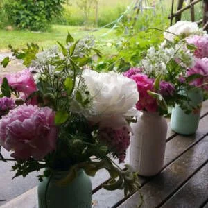 flowers in jars